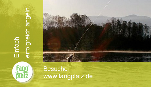 Tag 4 - Kanada: Reisetagebuch vom St&ouml;r- und Lachsangeln im Fraser River