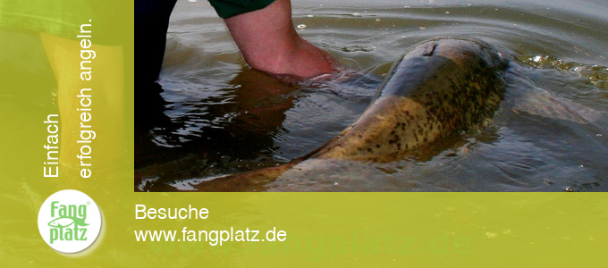 Angeln allgemein