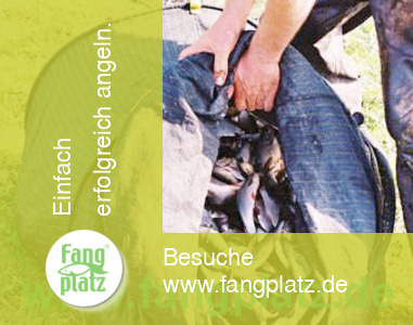 Scandinavian Masters 2008 (Teil 2)