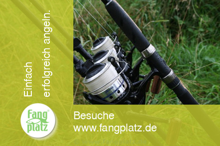 Wallerangeln in Deutschland im Baggersee (Teil 2)