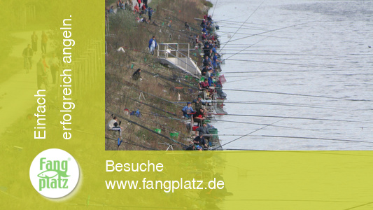 Das Angeljahr 2007 aus der fangplatz-Perspektive