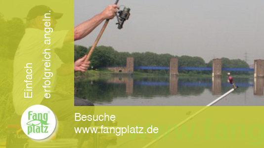 "Klug" gefeedert (2)