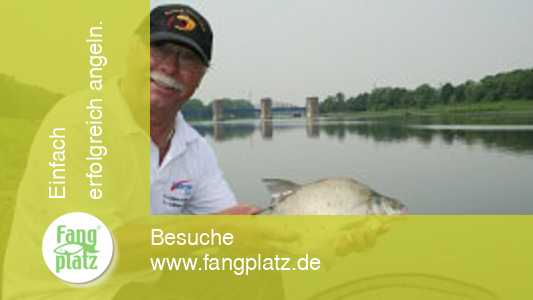 "Klug" gefeedert (2)