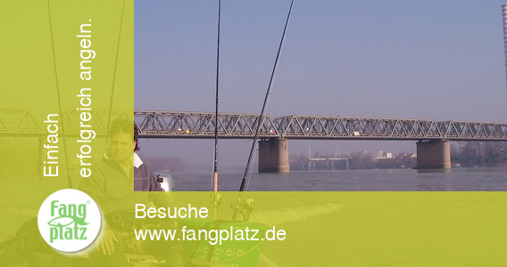 Wallerangeln - Po in Italien &ndash; Erlebnisbericht (2/ 2)