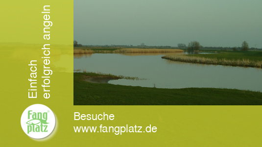 Die Treene: Angeln in Nordfriesland.