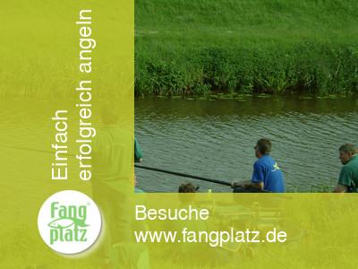 Angeln wie die internationale Elite