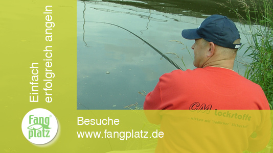 Mit der Bolorute in Aktion