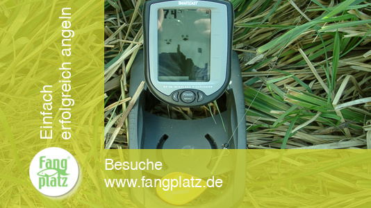 Der Smartcast RF 10e- Ein kabelloser Fischfinder!
