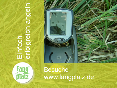 Der Smartcast RF 10e- Ein kabelloser Fischfinder!