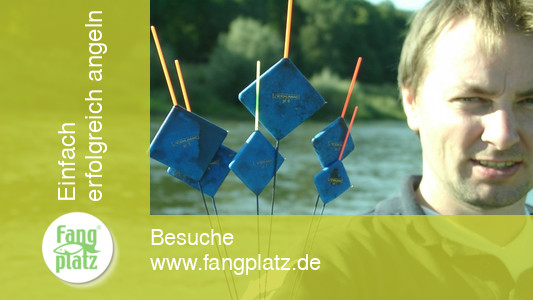 Colmic mit viereckigen Posen