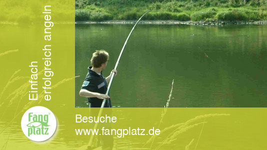 Der Barben-Tanz im F&uuml;nf-Minuten-Takt...