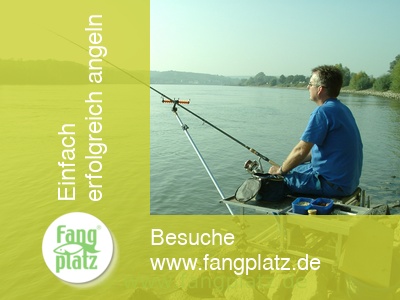 Ein Rhein-Fall: Feedern mit Michael Schlögl (1 von 2) Ein Rhein-Fall: Feedern mit Michael Schlögl (1 von 2)