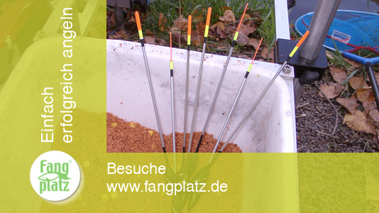 Ein super Waggler neu aufgelegt - der Zoomer