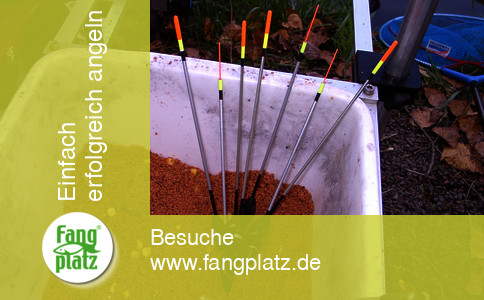 Ein super Waggler neu aufgelegt - der Zoomer