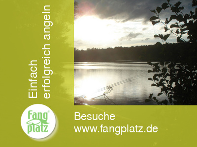 Angeln allgemein