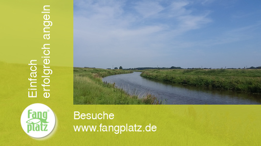 Gew&auml;sservorstellung: Die Go&szlig;e Aue bei Varrel