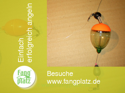 Aal-Monster mit Minibojen, die Montage (1) Aal-Monster mit Minibojen, die Montage (1)