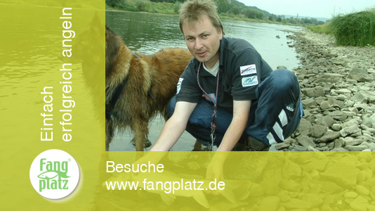 Der Barben-Tanz im Fünf-Minuten-Takt... Der Barben-Tanz im Fünf-Minuten-Takt...