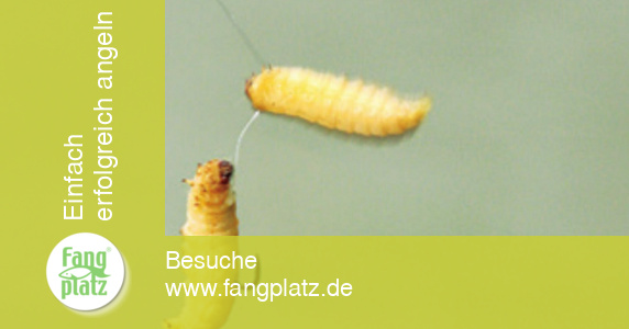 Bienenmaden-Helikopter-Propeller Bienenmaden-Helikopter-Propeller