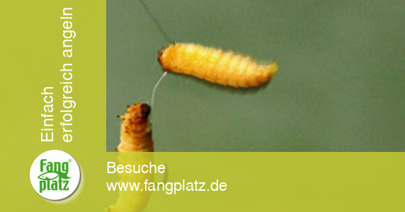 Bienenmaden-Helikopter-Propeller