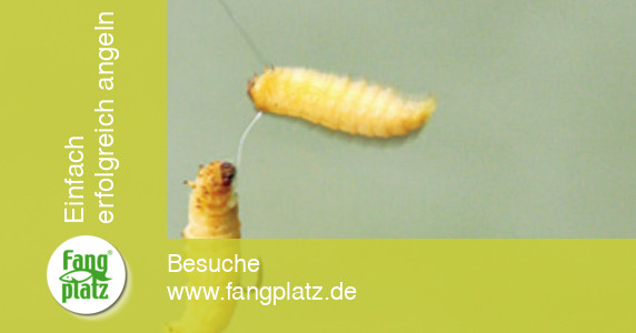 Bienenmaden-Helikopter-Propeller