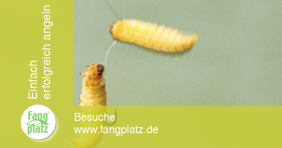 Bienenmaden-Helikopter-Propeller