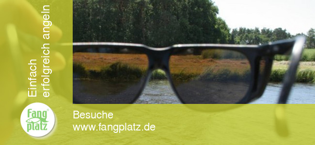 Polarisationsbrillen beim Angeln richtig eingesetzt