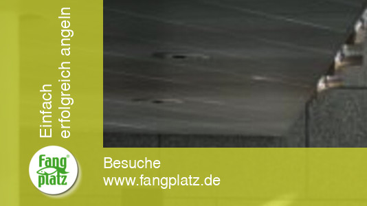 Grebenstein Colmic Cup 2007: Eine andere, taktische Sicht.