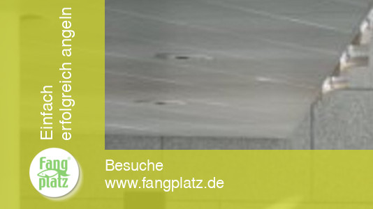 Grebenstein Colmic Cup 2007: Eine andere, taktische Sicht.