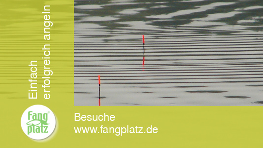 Mondial-Tubertini-Cup 2005 in Cheb