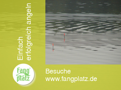 Mondial-Tubertini-Cup 2005 in Cheb Mondial-Tubertini-Cup 2005 in Cheb