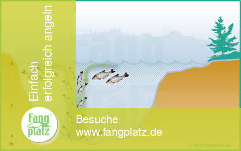 Rotaugen vertikal fangen Rotaugen vertikal fangen