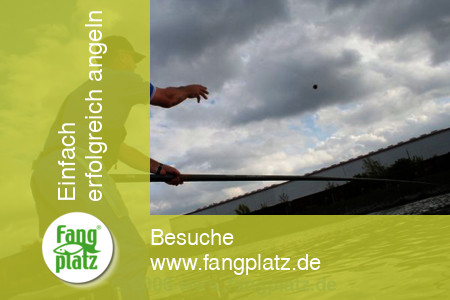 Rekordweltmeister A. Scotthorne mit der Kopfrute am Kanal (3)