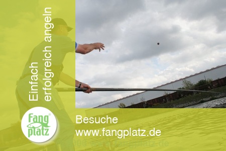 Rekordweltmeister A. Scotthorne mit der Kopfrute am Kanal (3)