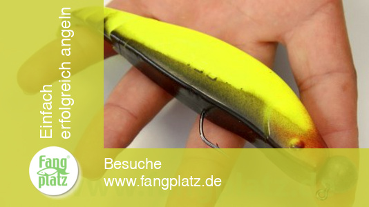 Anleitung: Gummifisch richtig aufziehen