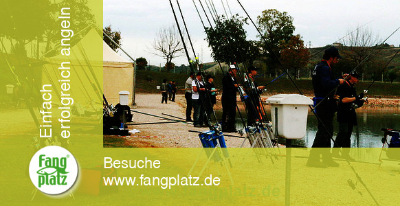 Forellenangeln Forellenangeln