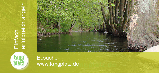 Kunstk&ouml;der: Kleine B&auml;che, gro&szlig;e Chancen! Standpl&auml;tze von Brasch, Forelle, Hecht und Co.