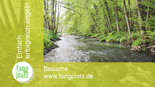 Kunstk&ouml;der: Kleine B&auml;che, gro&szlig;e Chancen! Standpl&auml;tze von Brasch, Forelle, Hecht und Co.