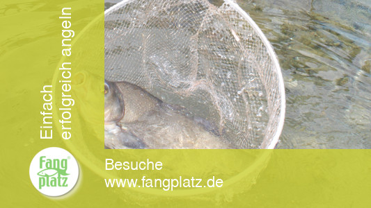 Feedern: strategisch Brassen fangen