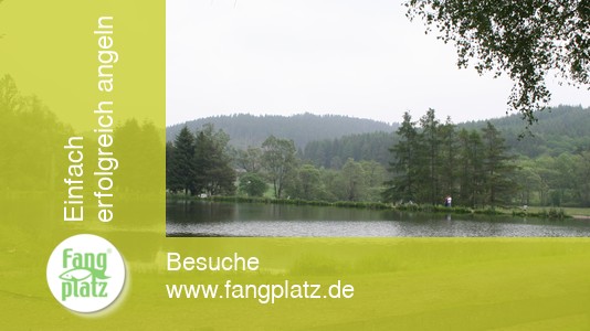 Die typischen Forellensee-Typen