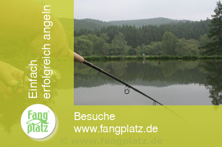 Forellenangeln: Gut geschleppt ist halb gefangen