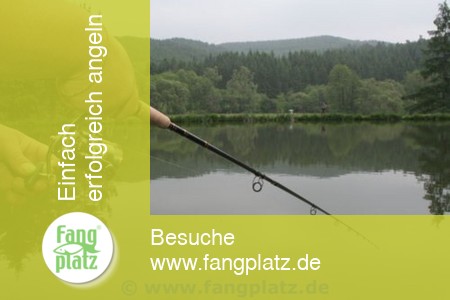 Forellenangeln: Gut geschleppt ist halb gefangen