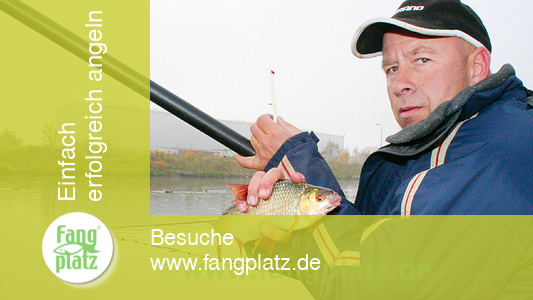 Kanalangeln im Herbst.