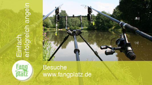 Die richtige Rutenablage - die Modelle und was sie können Die richtige Rutenablage - die Modelle und was sie können