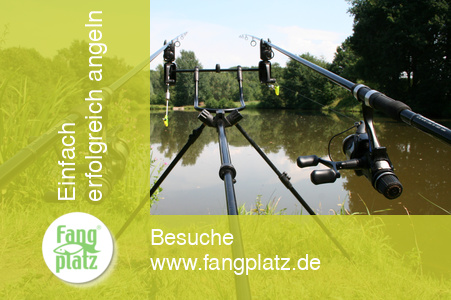 Karpfenangeln