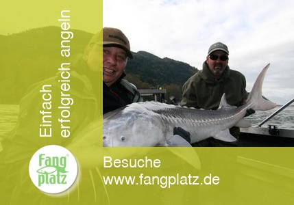 Tag 8 - Kanada: Reisetagebuch vom St&ouml;r- und Lachsangeln im Fraser River