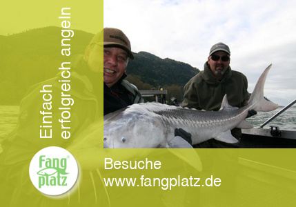 Tag 8 - Kanada: Reisetagebuch vom St&ouml;r- und Lachsangeln im Fraser River