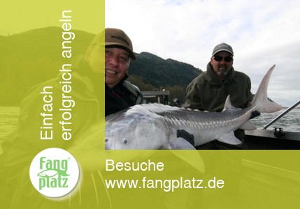 Tag 8 - Kanada: Reisetagebuch vom St&ouml;r- und Lachsangeln im Fraser River