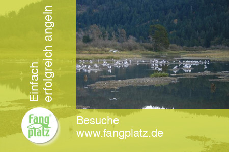 Tag 6 - Kanada: Reisetagebuch vom St&ouml;r- und Lachsangeln im Fraser River