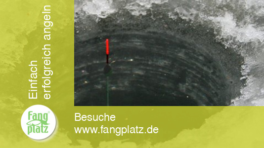 Eisangeln: Mit der Pose am Eisloch